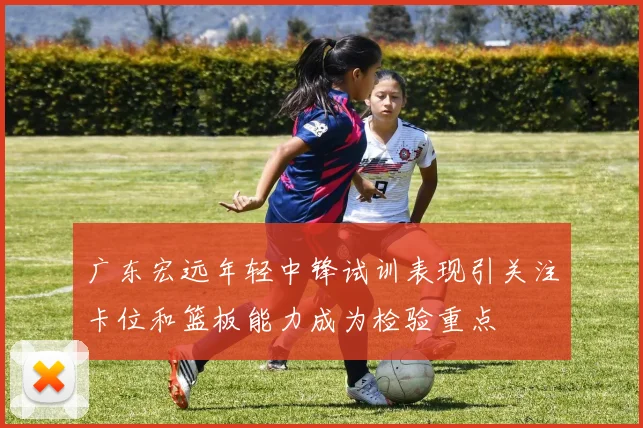 广东宏远年轻中锋试训表现引关注卡位和篮板能力成为检验重点